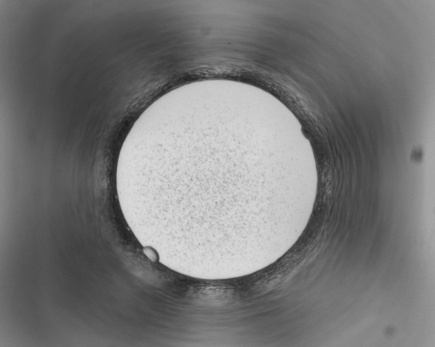 X0000116810546201001151146