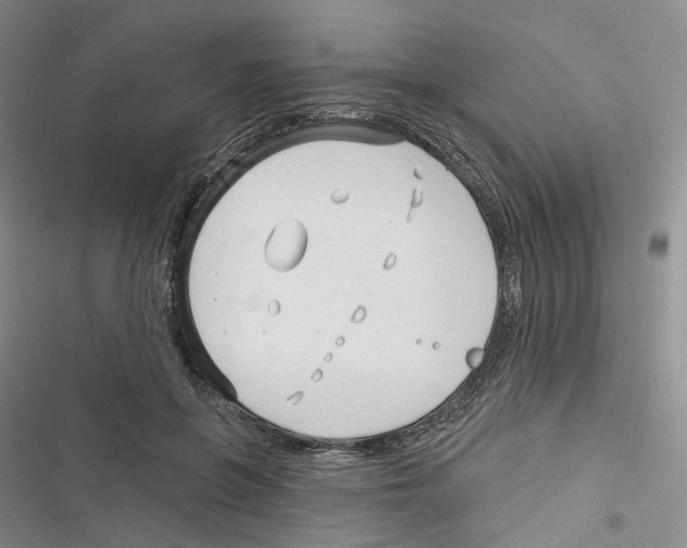 X0000116810551201001151146