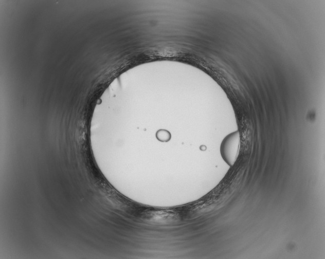 X0000116810555201001151146