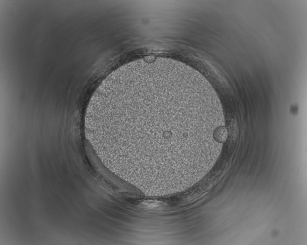 X0000116810557201001151146