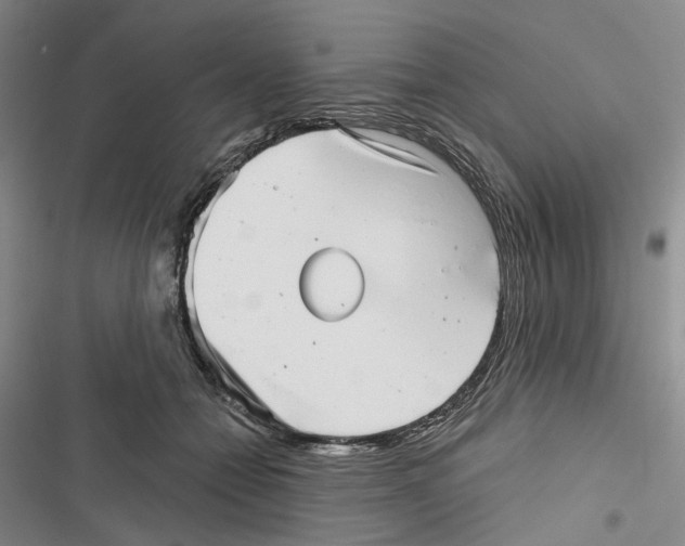 X0000116810558201001151146