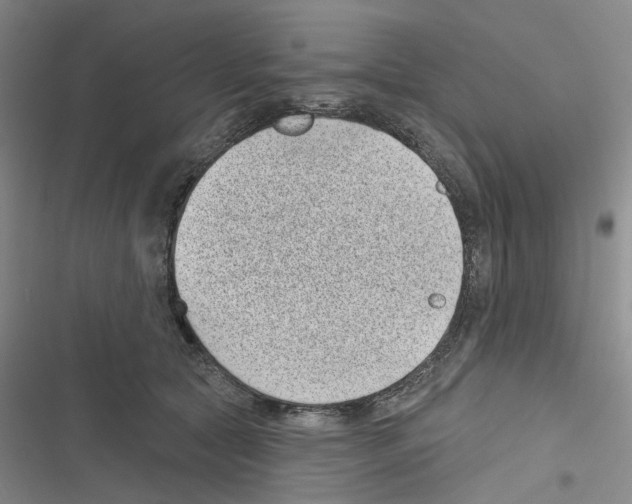 X0000116810561201001151146