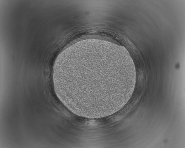 X0000116810565201001151146