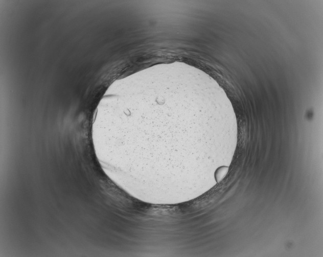 X0000116810571201001151146