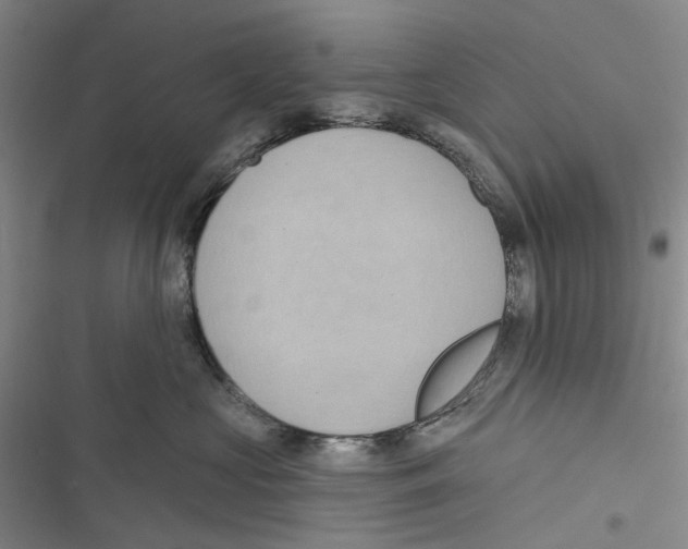 X0000116810573201001151146