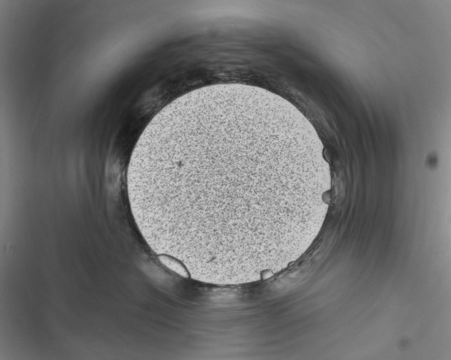 X0000116810574201001151146