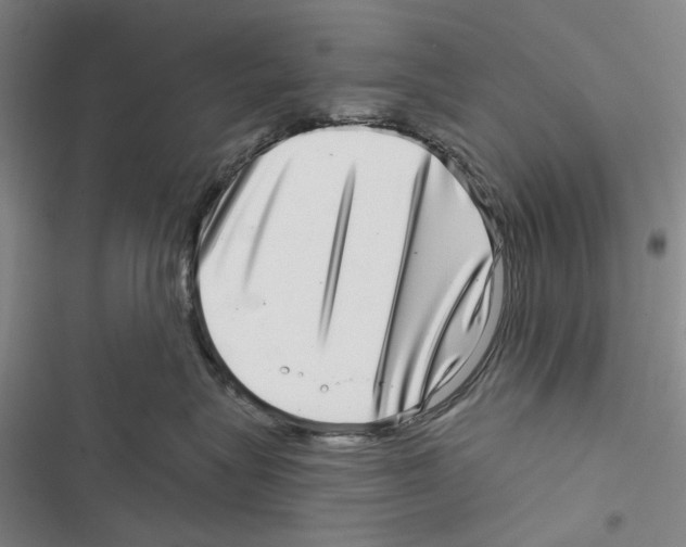 X0000116810575201001151146