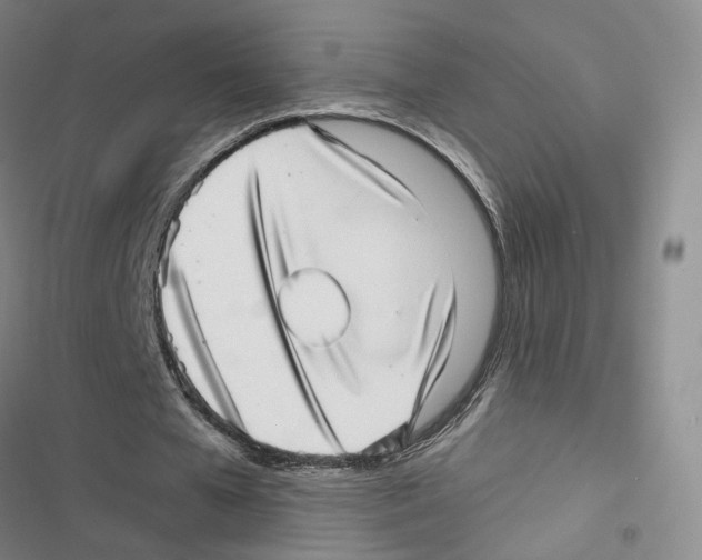 X0000116810577201001151145