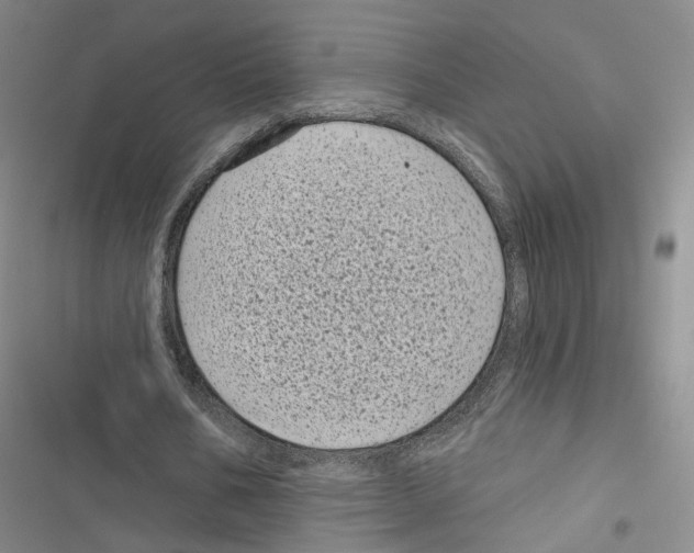 X0000116810578201001151145