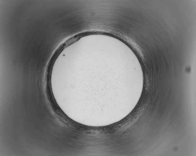X0000116810580201001151145