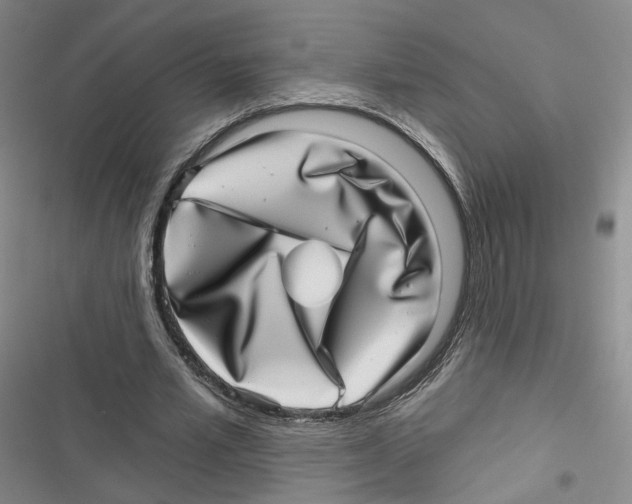 X0000116810581201001151145