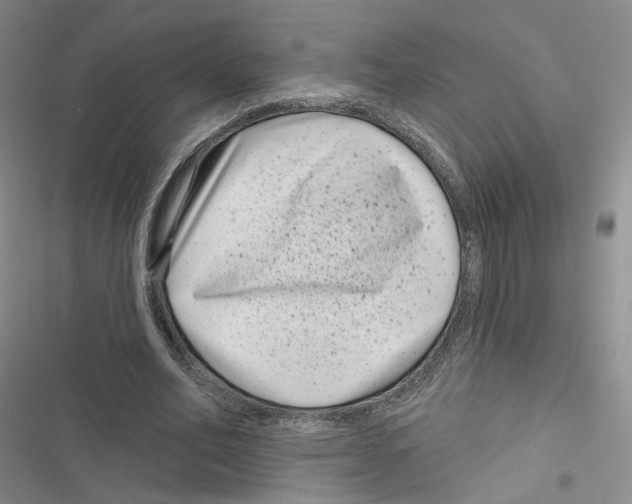 X0000116810582201001151145