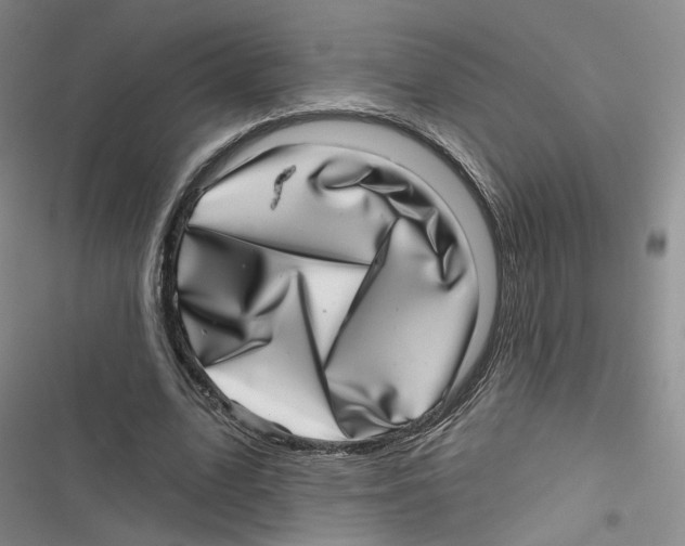 X0000116810583201001151145