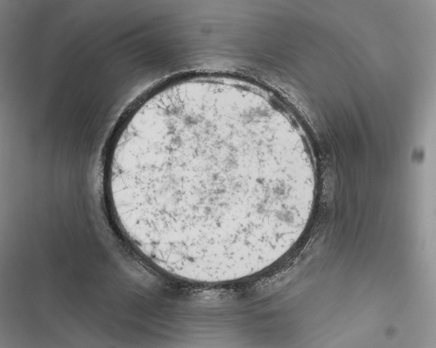 X0000116810584201001151145