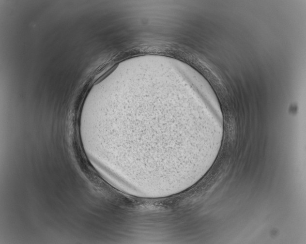 X0000116810586201001151145