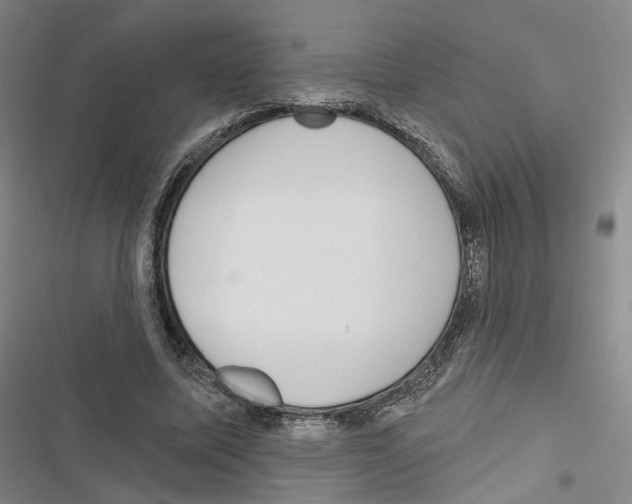 X0000116810587201001151145