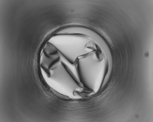 X0000116810588201001151145