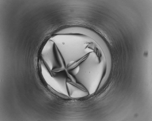X0000116810589201001151145