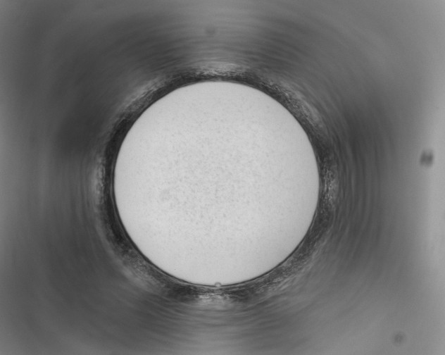 X0000116810591201001151145