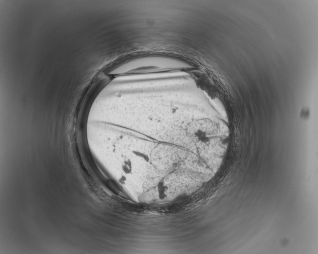 X0000116810592201001151145