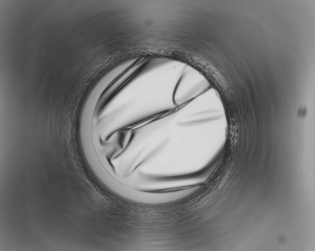 X0000116810593201001151145