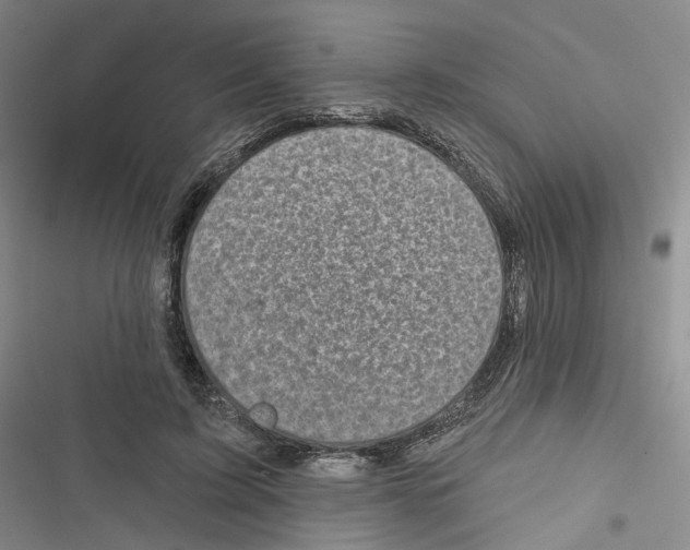 X0000116810595201001151145