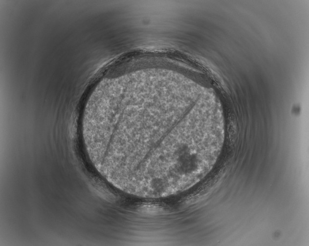 X0000116810596201001151145