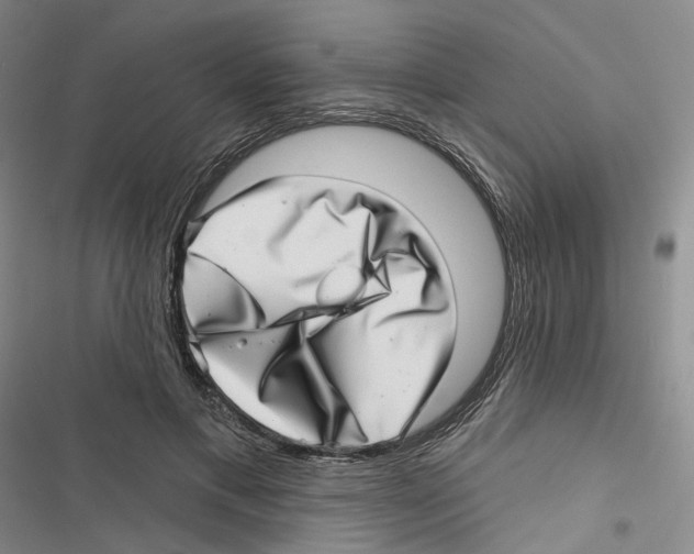 X0000116810597201001151145