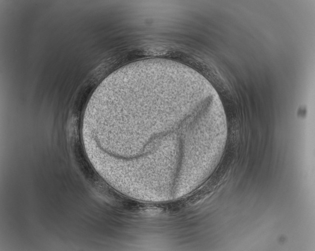 X0000116810598201001151145