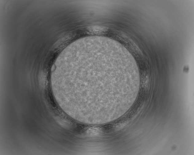 X0000116810599201001151145