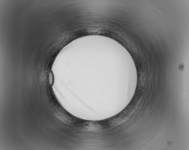 X0000116810601201001151145