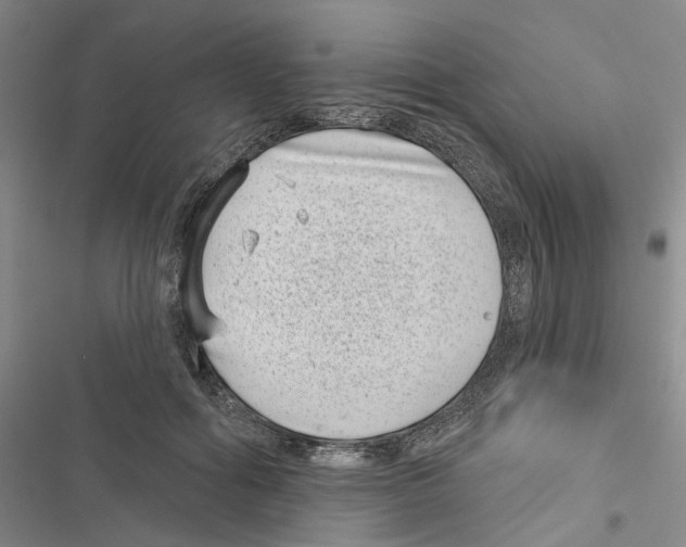 X0000116810602201001151145