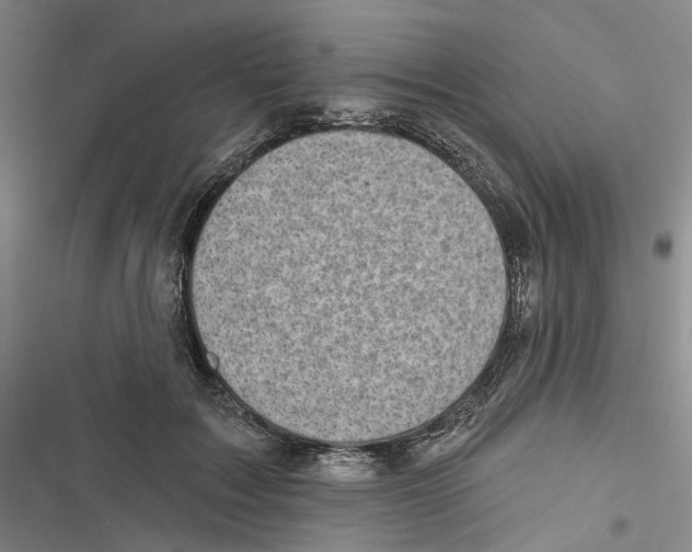 X0000116810603201001151145
