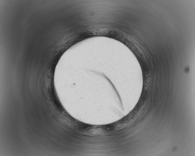 X0000116810604201001151145