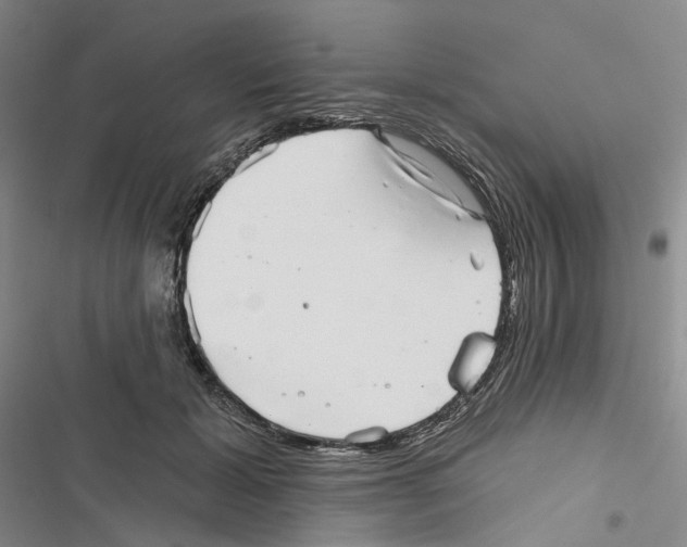 X0000116810605201001151145