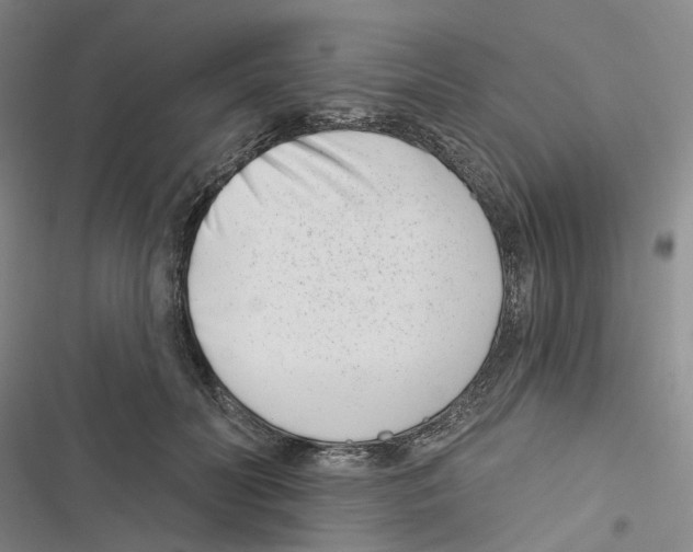 X0000116810606201001151145