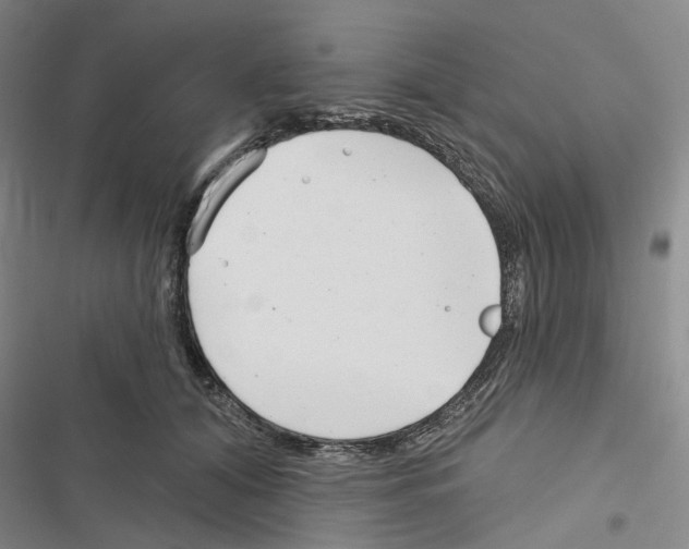 X0000116810608201001151145