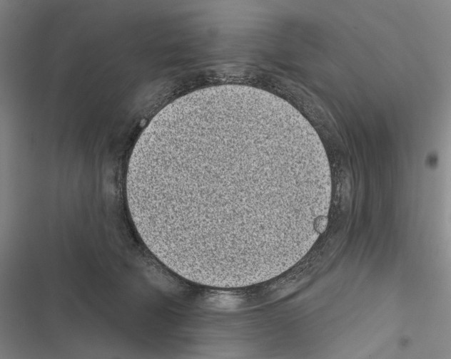 X0000116810610201001151145