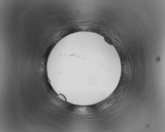 X0000116810611201001151145