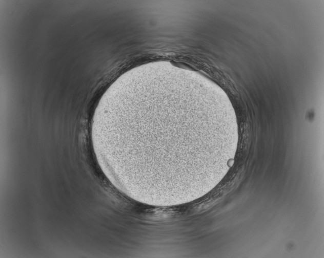X0000116810612201001151145