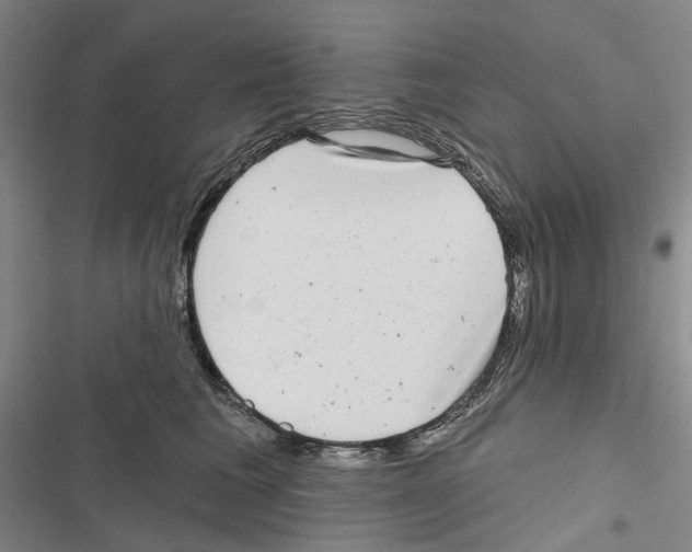 X0000116810613201001151145