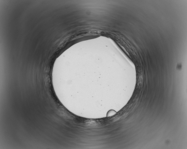 X0000116810616201001151145