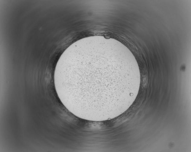 X0000116810618201001151145