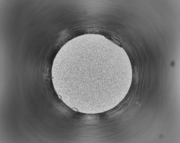 X0000116810619201001151145