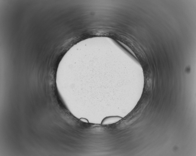 X0000116810620201001151145