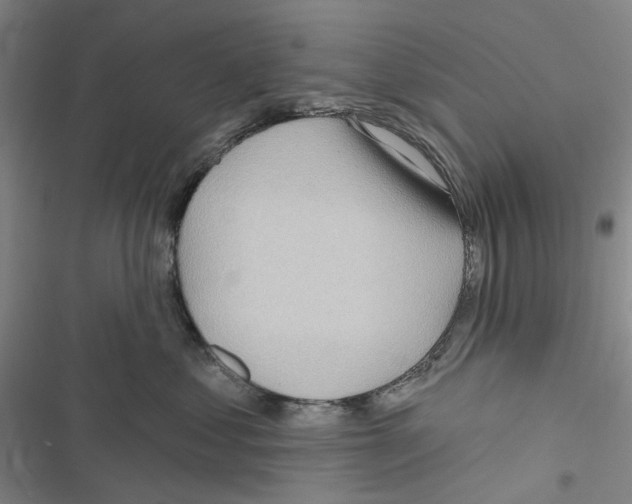 X0000116810621201001151145