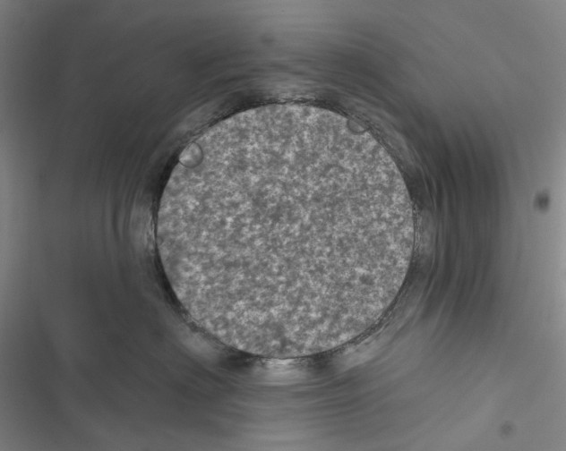 X0000116810622201001151145