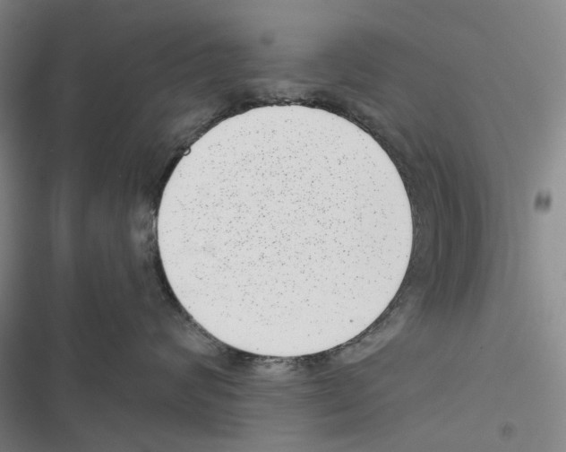 X0000116810624201001151145