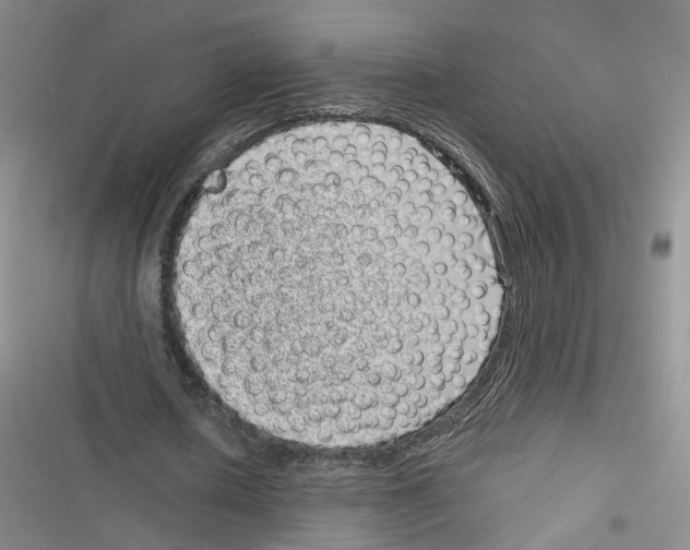 X0000116810626201001151144