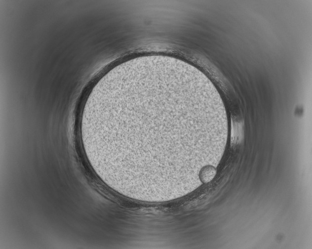 X0000116810627201001151144